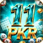 11 PKR Game
