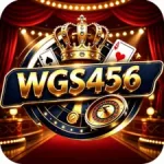 WGS456 Game
